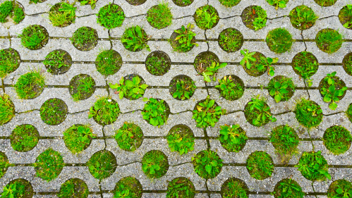 Rasengittersteine.  Foto: FotoSabine / Adobe Stock