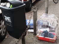 ZKE vor Ort in Malstatt